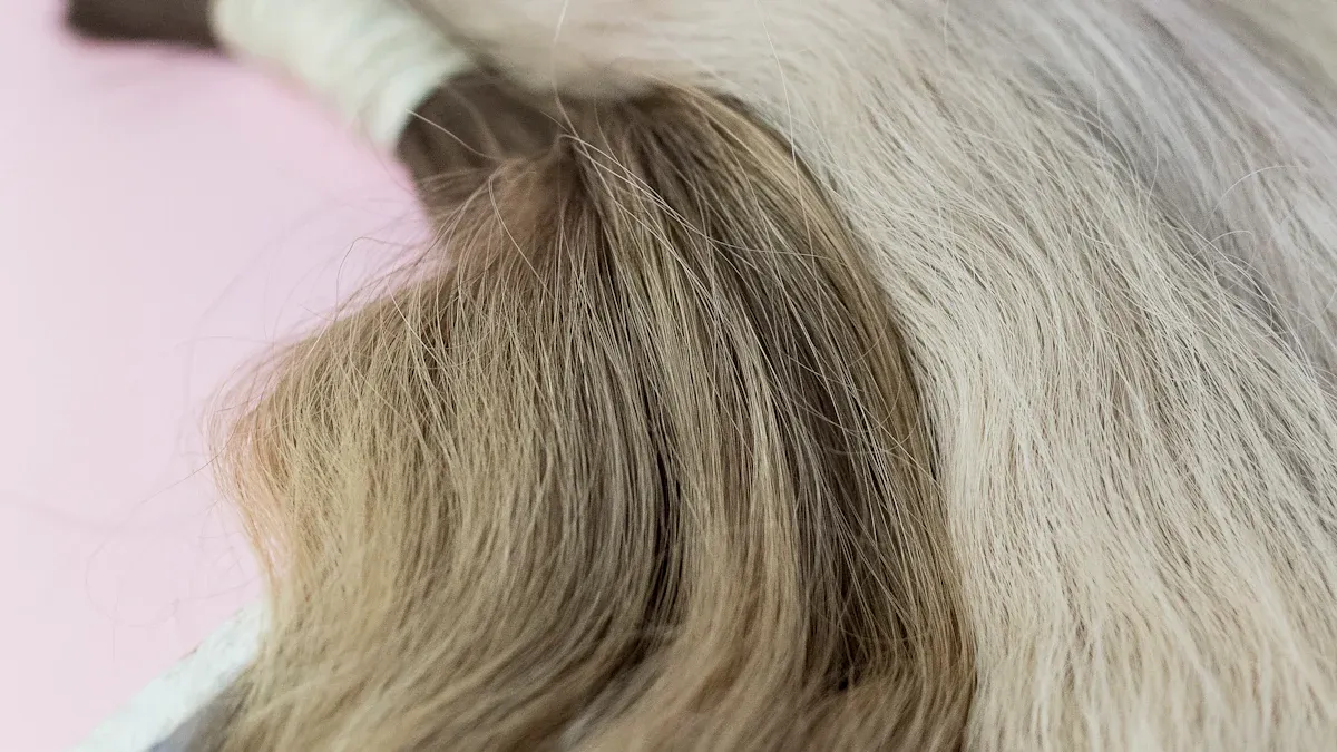 Best Hair Extensions Comparison Guide