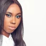 What Wholesale Buyers Should Know About High-Density Clip-In Hair Extensions