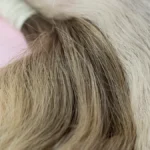 10 Leading Hair Extension Factories Every Business Owner Should Know